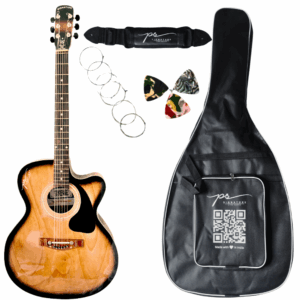 PS Signature Natural color New Model Acoustic Guitar