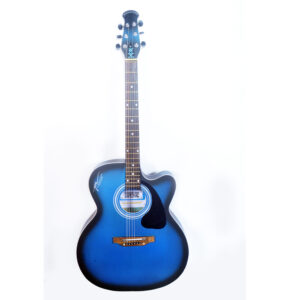 PS Signature Blue Matte Acoustic Guitar