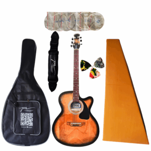 PS Signature Natural New Model Acoustic Guitar