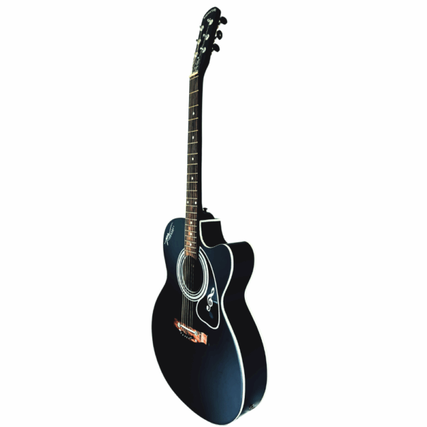 PS Signature Black Matte Acoustic Guitar - Image 4