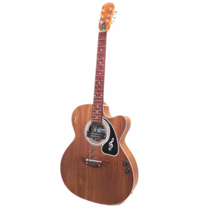 PS Signature Rosewood Acoustic Guitar