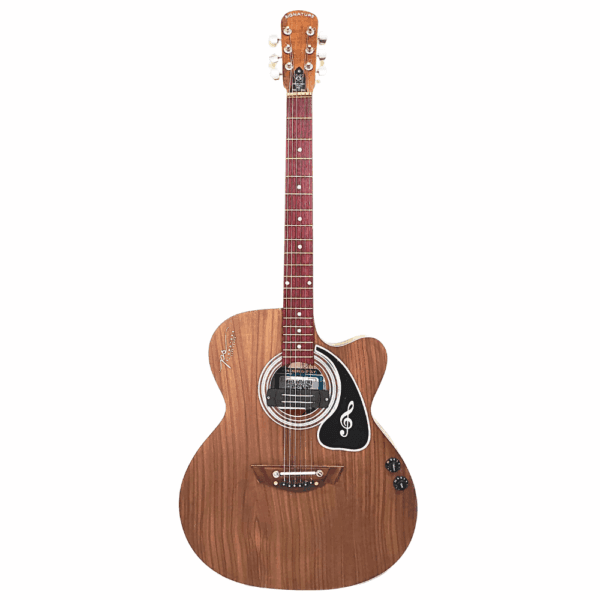 PS Signature Pure Rosewood Acoustic Guitar - Image 2