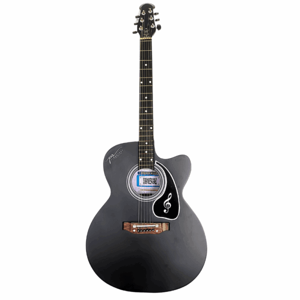 PS Signature Black Matte Acoustic Guitar - Image 3