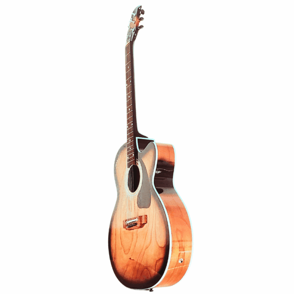 PS Signature Natural Color Acoustic Guitar - Image 5