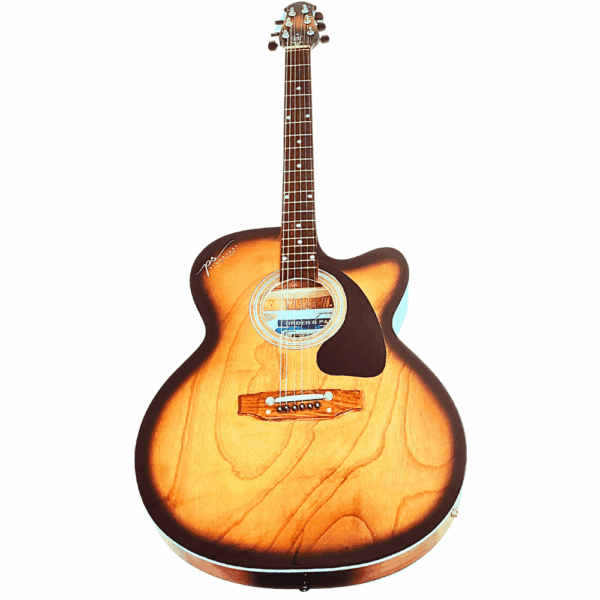 PS Signature Natural Color Acoustic Guitar - Image 4