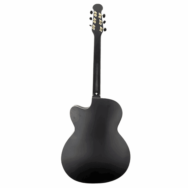 PS Signature Black Matte Acoustic Guitar - Image 4