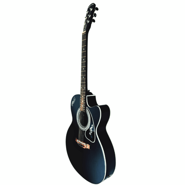 PS Signature Black Matte Acoustic Guitar New Model - Image 5