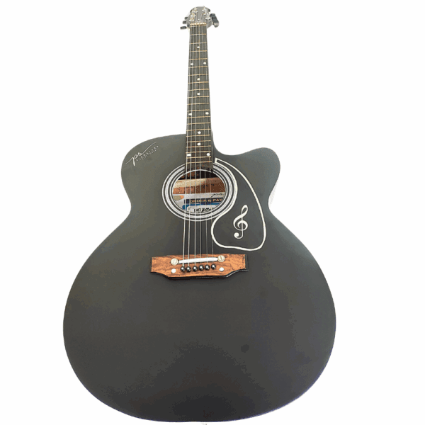 PS Signature Black Matte Acoustic Guitar - Image 5