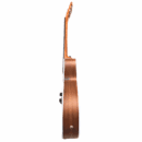 PS Signature Pure Rosewood Acoustic Guitar