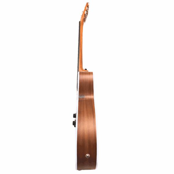 PS Signature Pure Rosewood Acoustic Guitar - Image 4