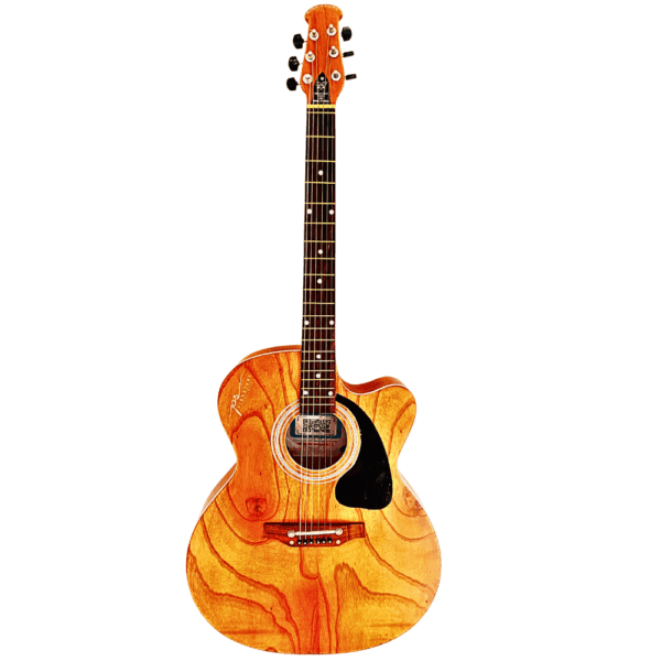 PS Signature Wooden Matte Acoustic Guitar - Image 3
