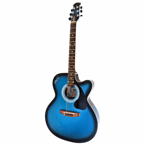 PS Signature Blue Matte Acoustic Guitar - Image 3