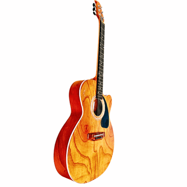 PS Signature Wooden Matte Acoustic Guitar - Image 4