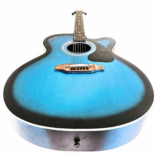 PS Signature Blue Matte Acoustic Guitar - Image 2