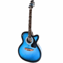 PS Signature Blue Matte Acoustic Guitar