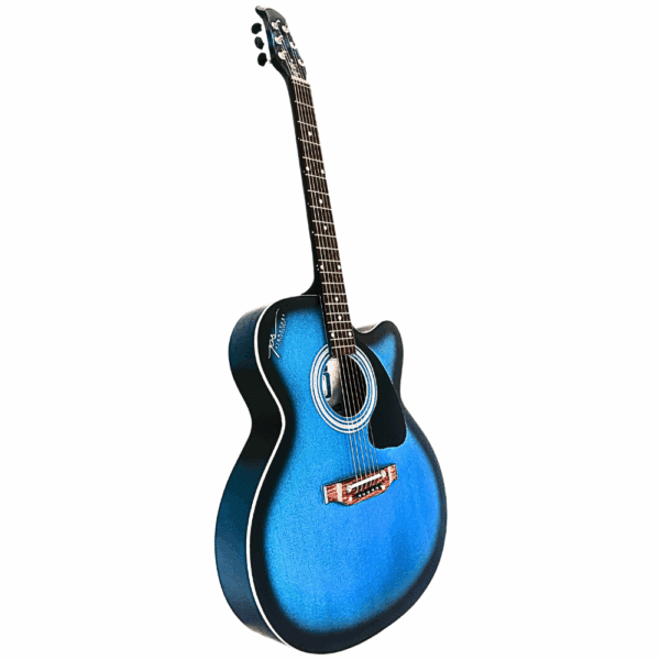 PS Signature Blue Matte Acoustic Guitar - Image 5