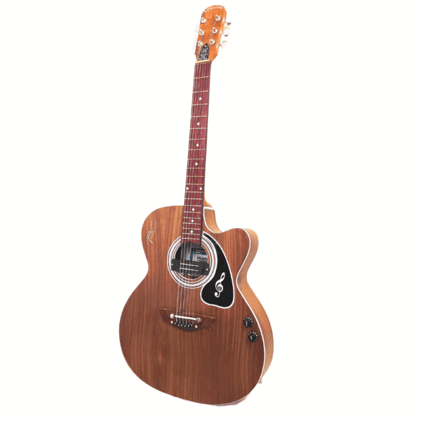 PS Signature Pure Rosewood Acoustic Guitar - Image 5