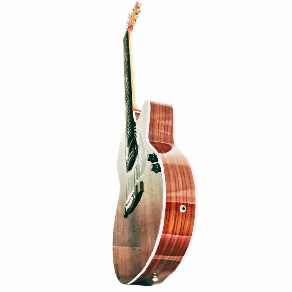 PS Signature Pure Rosewood Glossy Acoustic Guitar - Image 7
