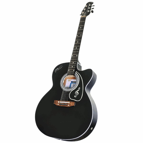 PS Signature Black Matte Acoustic Guitar - Image 8