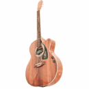 PS Signature Pure Rosewood Glossy Acoustic Guitar