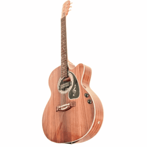 PS Signature Pure Rosewood Glossy Acoustic Guitar