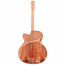 PS Signature Pure Rosewood Glossy Acoustic Guitar