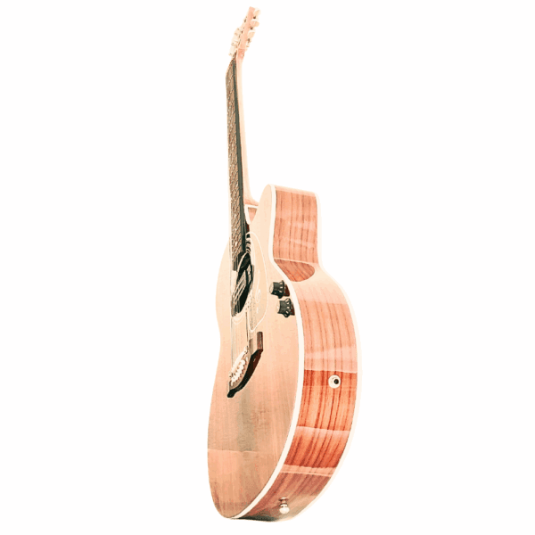 PS Signature Pure Rosewood Glossy Acoustic Guitar - Image 3