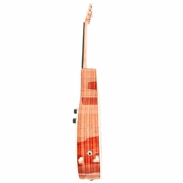 PS Signature Pure Rosewood Glossy Acoustic Guitar - Image 4