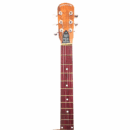 PS Signature Pure Rosewood Acoustic Guitar