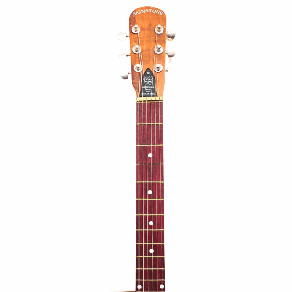 PS Signature Pure Rosewood Acoustic Guitar - Image 6
