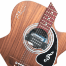 PS Signature Pure Rosewood Acoustic Guitar