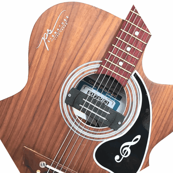 PS Signature Pure Rosewood Acoustic Guitar - Image 9