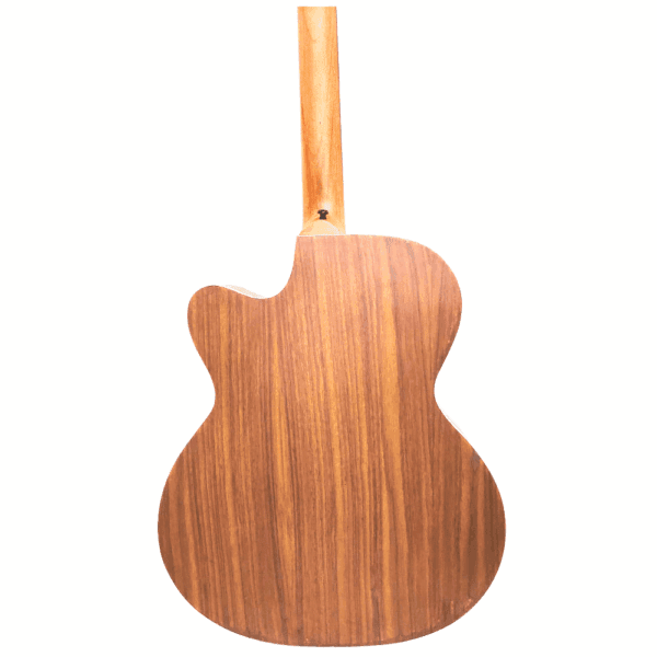PS Signature Pure Rosewood Acoustic Guitar - Image 10