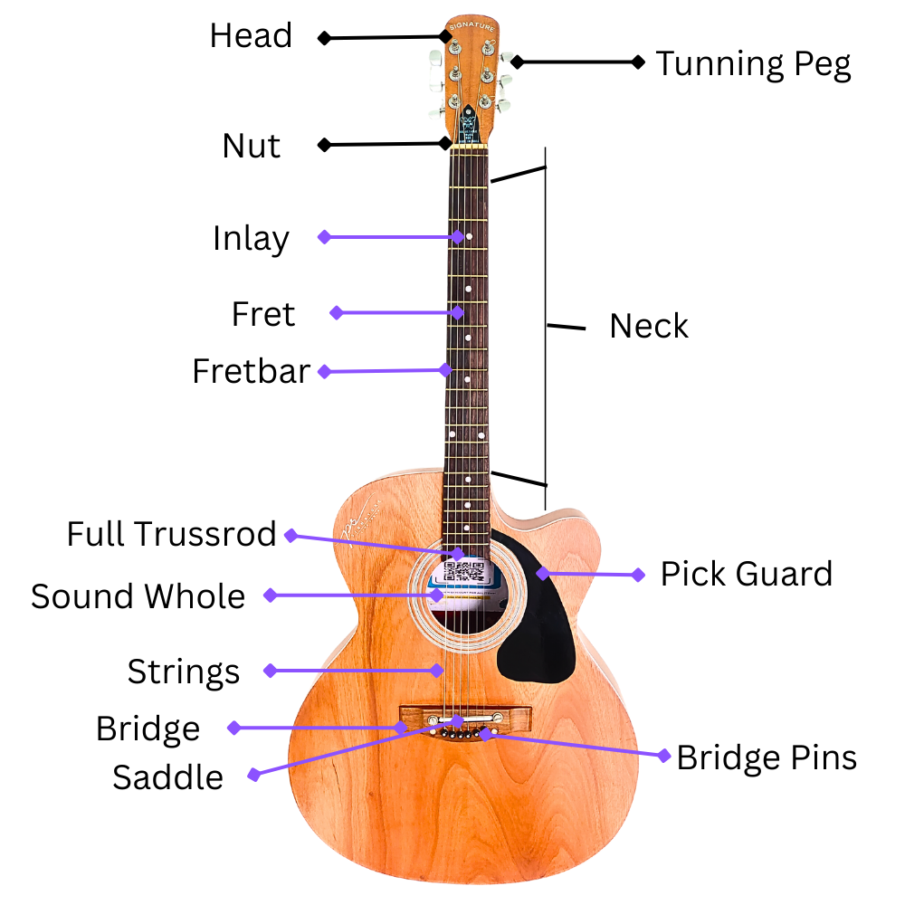 PS Signature double tonewood acoustic guitar wooden body