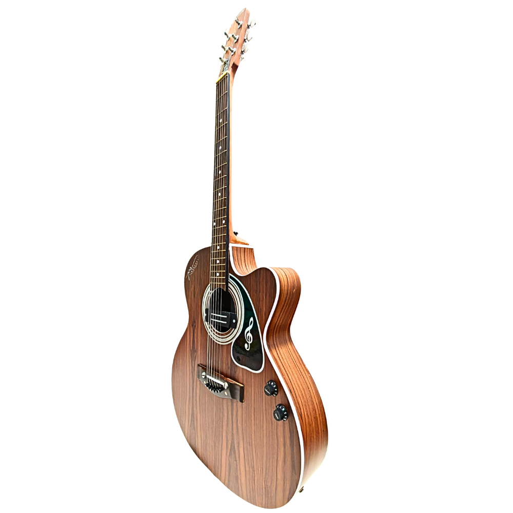PS Signature Pure Rosewood Matte Acoustic Guitar