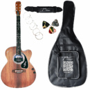 PS Signature Pure Rosewood Matte Acoustic Guitar