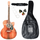 PS Signature Pure Rosewood Glossy Acoustic Guitar with Volume and Tone Control