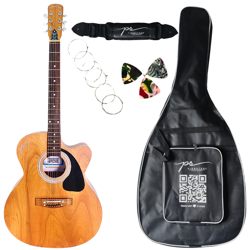 PS Signature double tonewood acoustic guitar wooden body